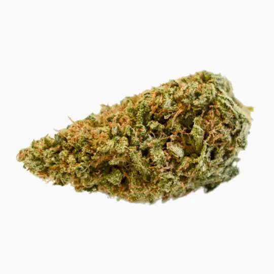 DEEPWATER Botanicals - Sugar Plum - 1