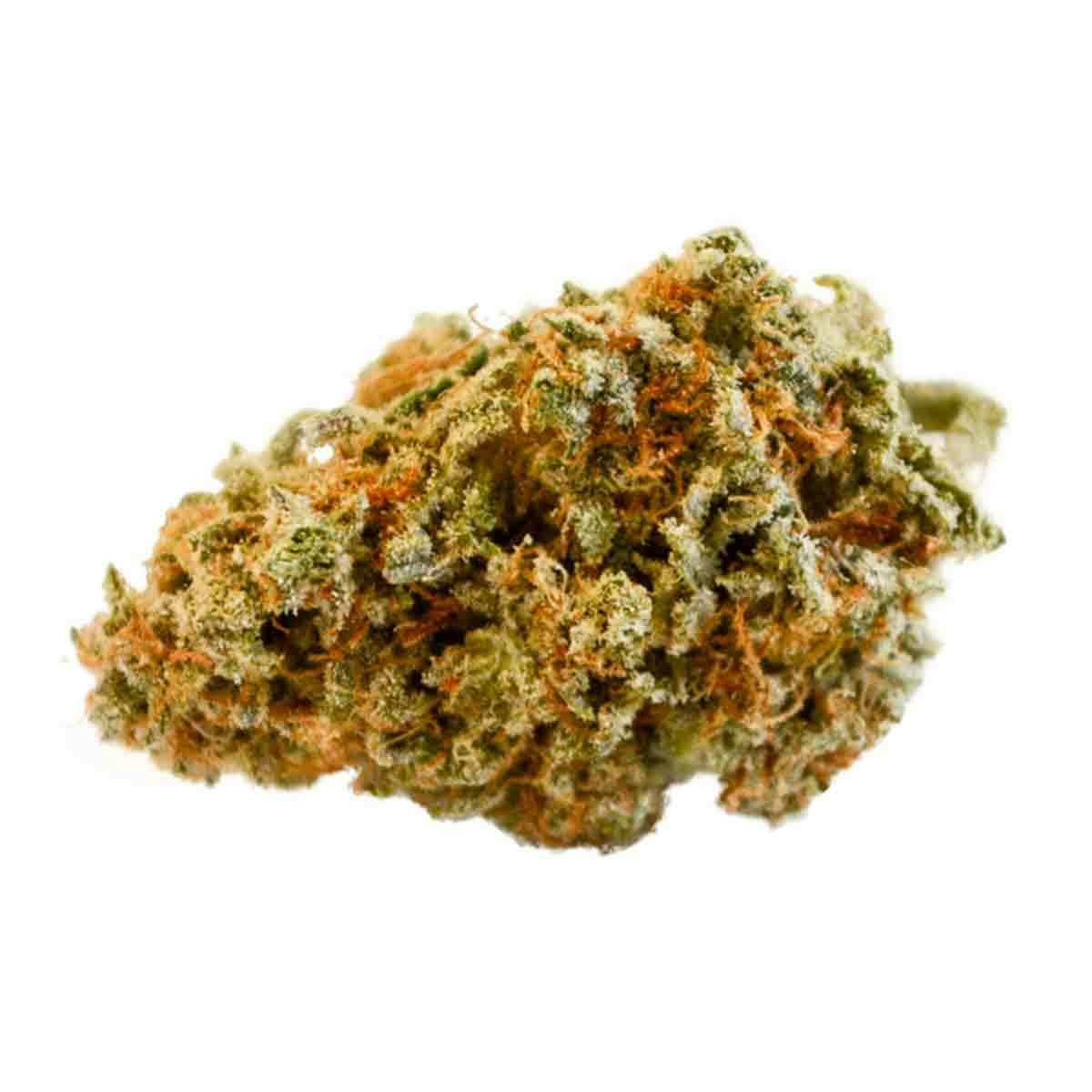 DEEPWATER Botanicals - Snow Leopard - 1
