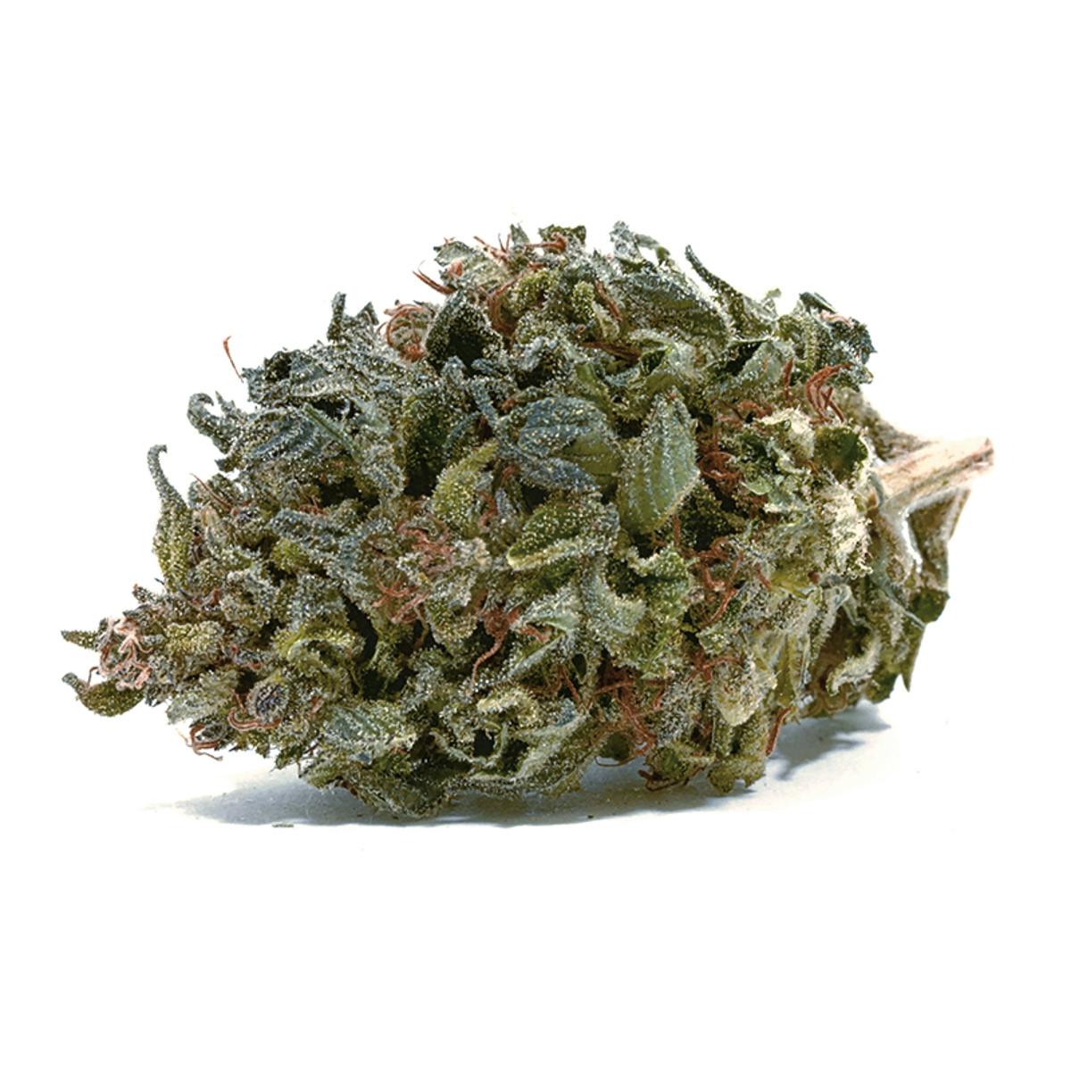 Puffin Farm - AC/DC - 1