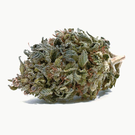 Puffin Farm - AC/DC - 1