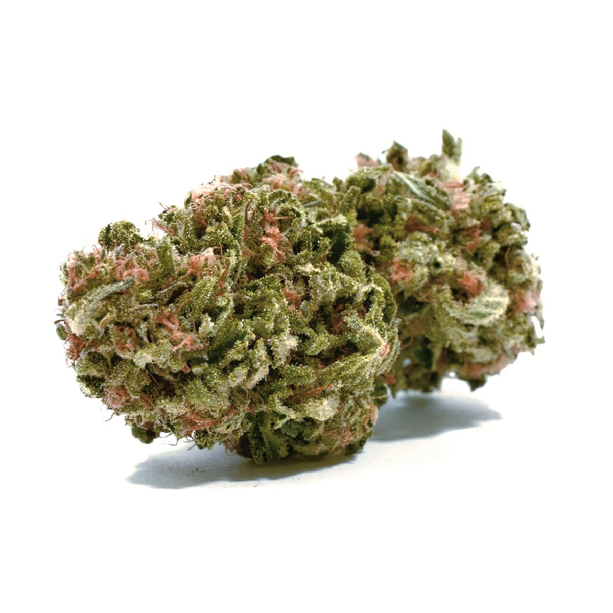 Puffin Farm - AK-47 - 1