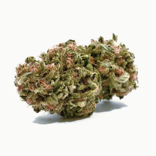 Puffin Farm - AK-47 - 1