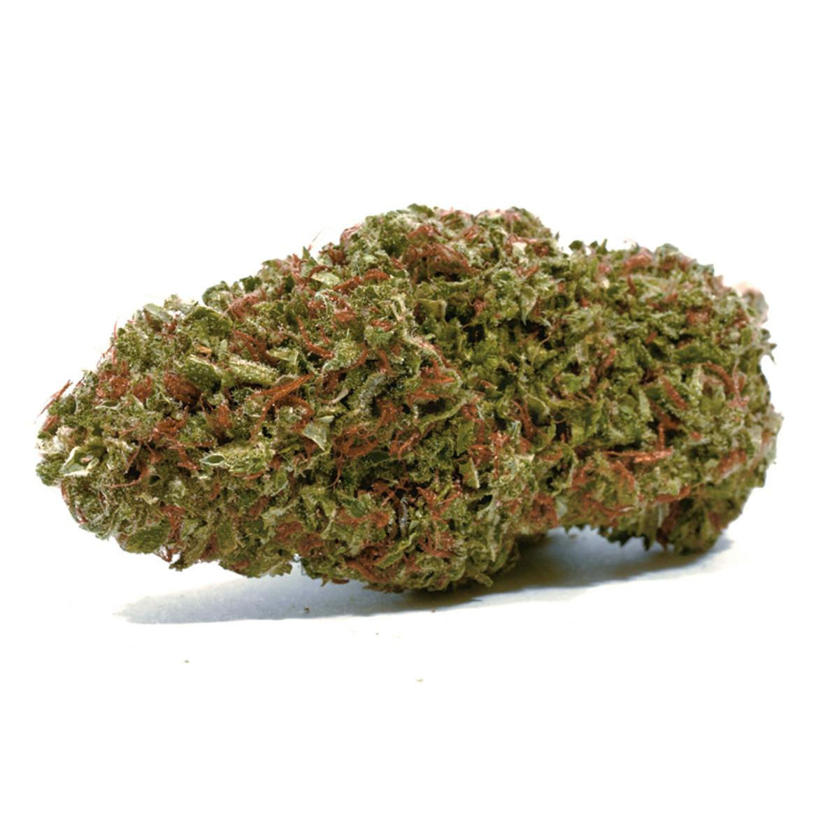 Puffin Farm - Big Skunk Korean - 1