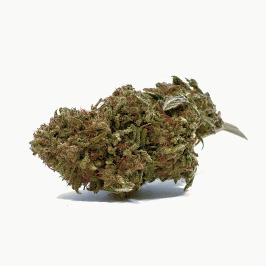 Puffin Farm - Cannalope Haze - 1