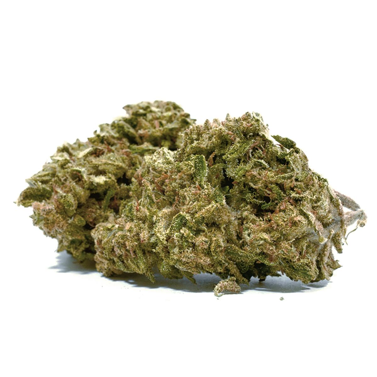 Puffin Farm - Chernobyl - 1