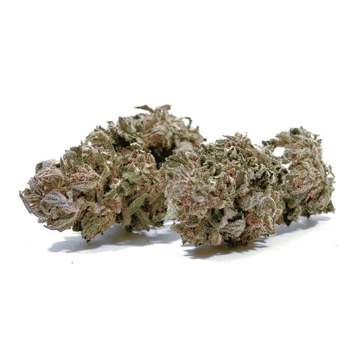 Puffin Farm - Dancehall - 1