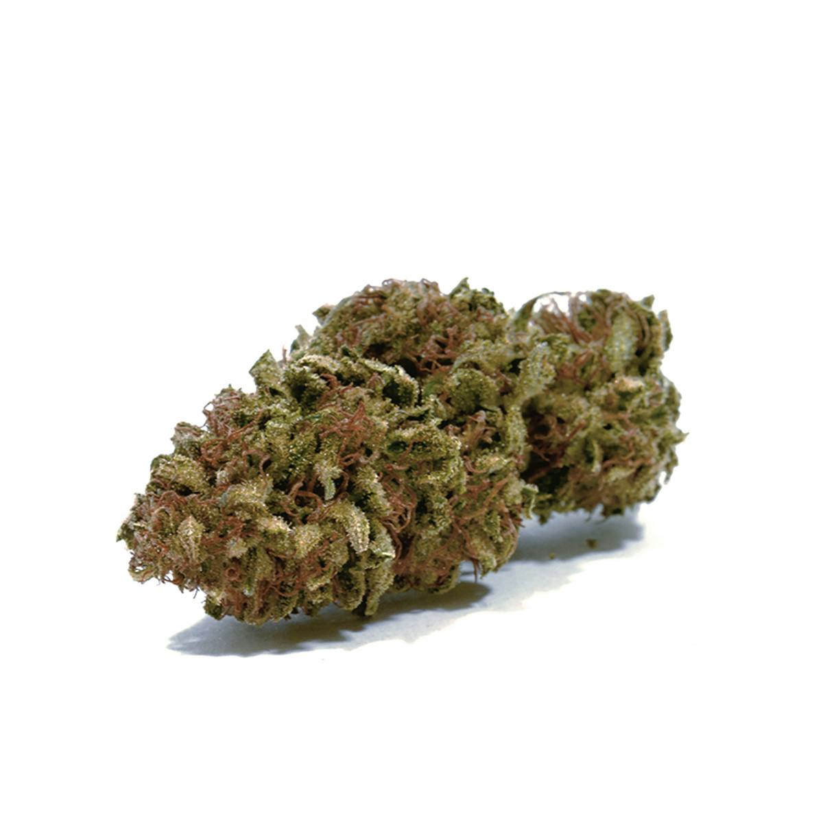 Puffin Farm - Dutch Treat - 1