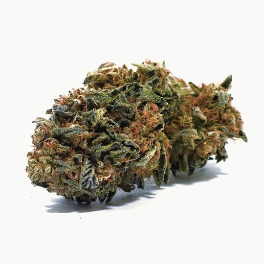 Puffin Farm - GSC Thin Mints - 1