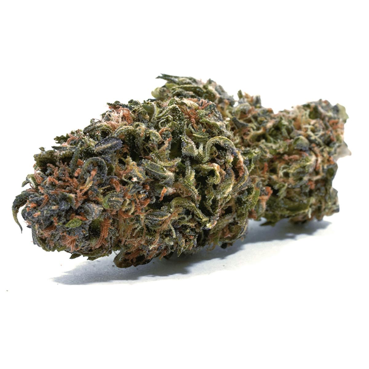 Puffin Farm - Hindu Kush - 1
