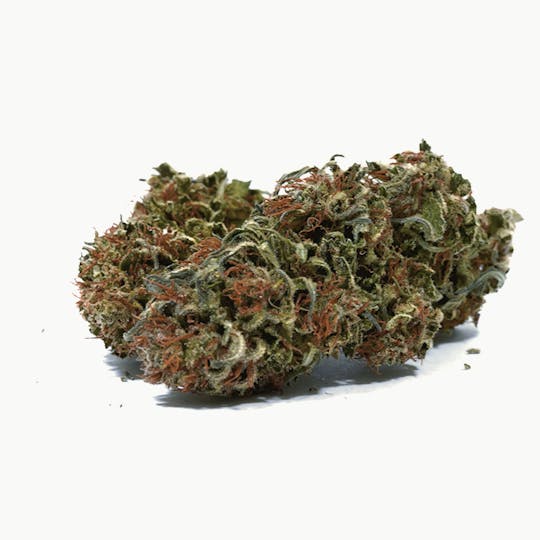 Puffin Farm - Lavender - 1