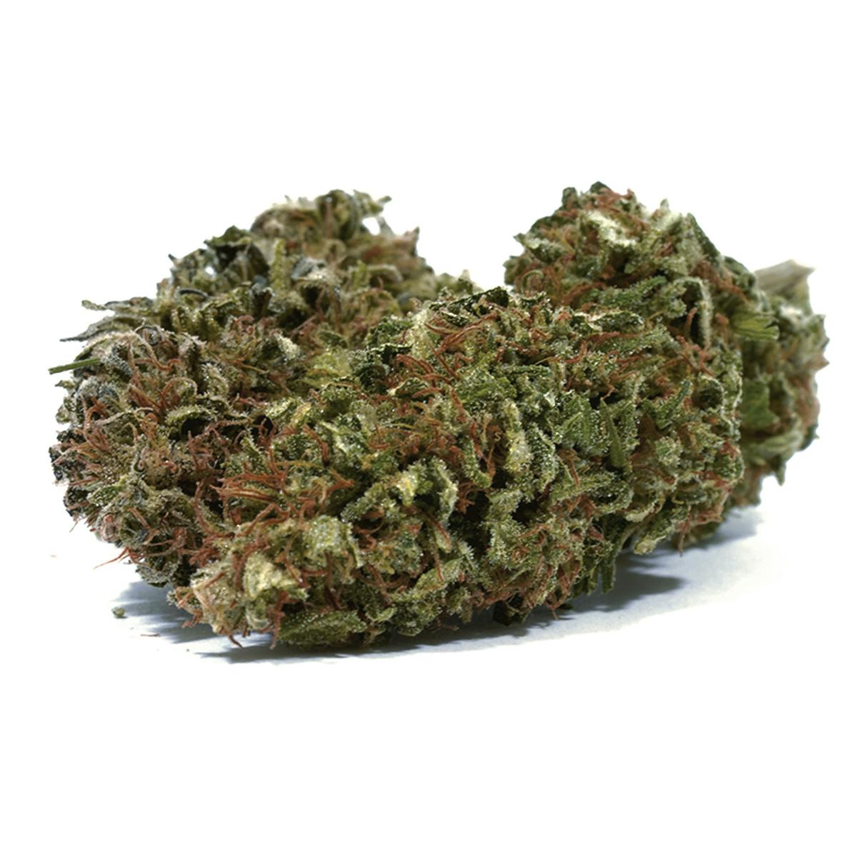 Puffin Farm - Lavender Haze - 1