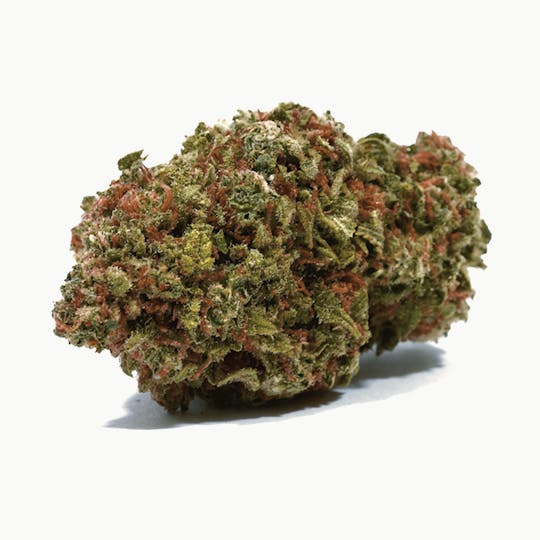 Puffin Farm - Yeti - 1