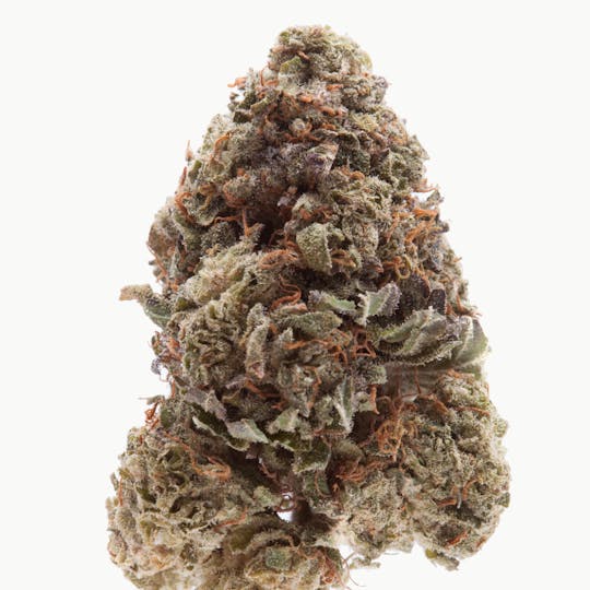 The Green Vault - Alien Tarantula - 1