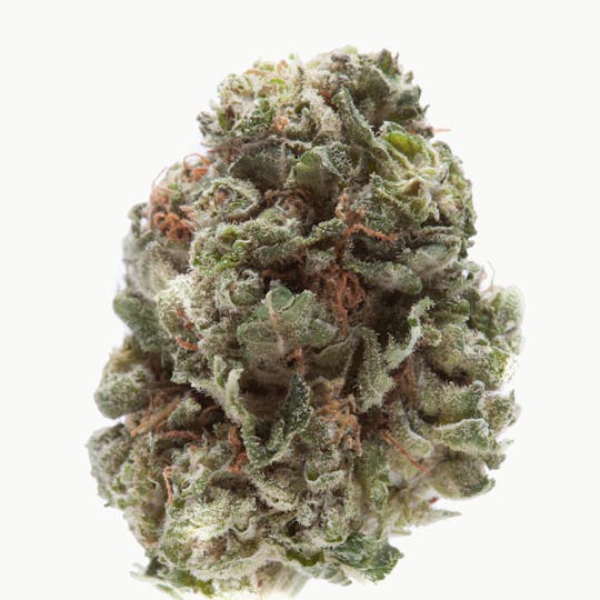 The Green Vault - Blue Sugar Cookies - 1