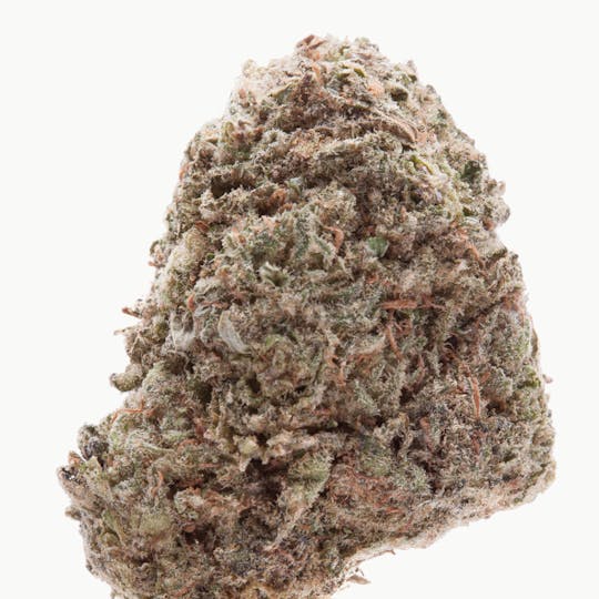 The Green Vault - Blueberry Headband - 1