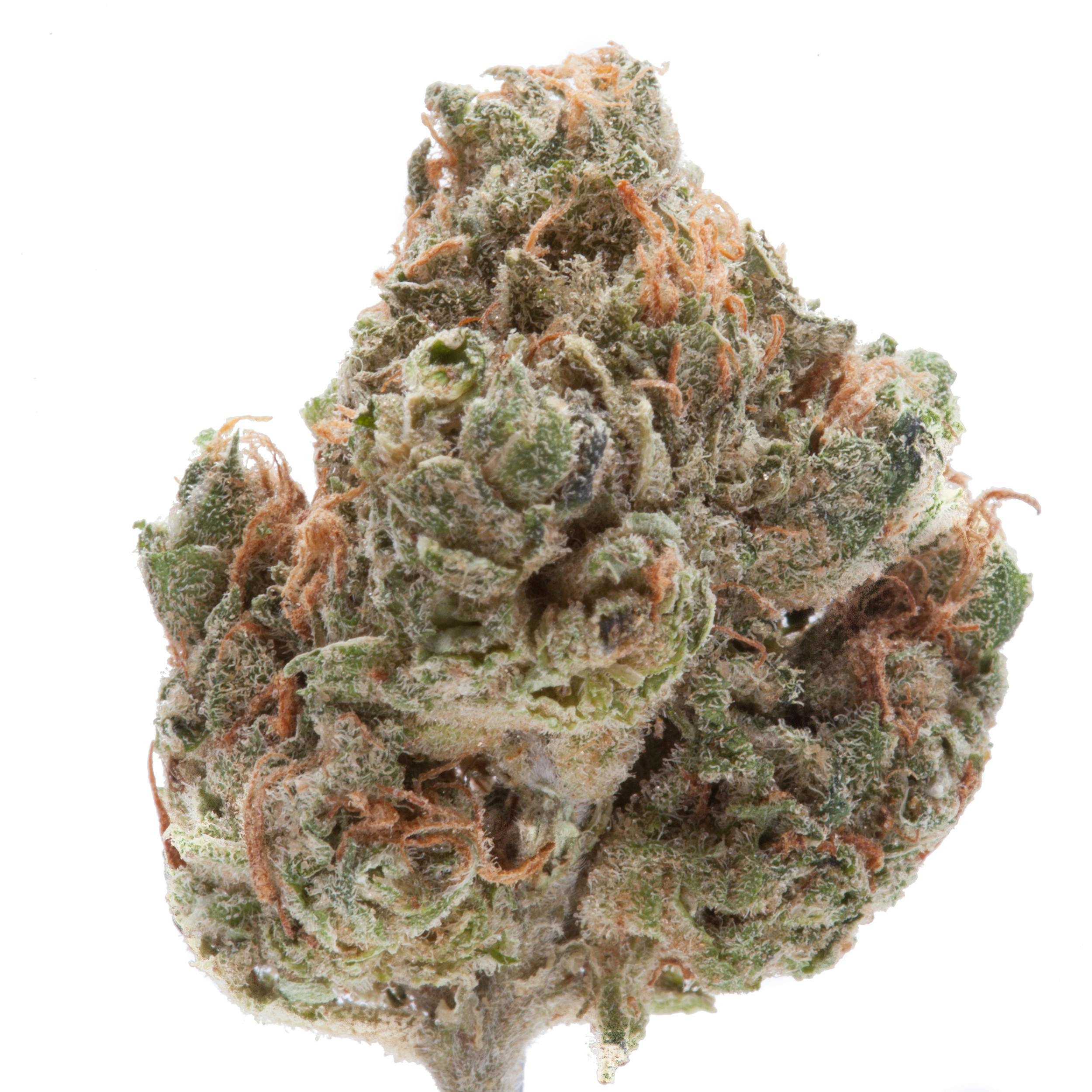 The Green Vault - Pineapple Express - 1