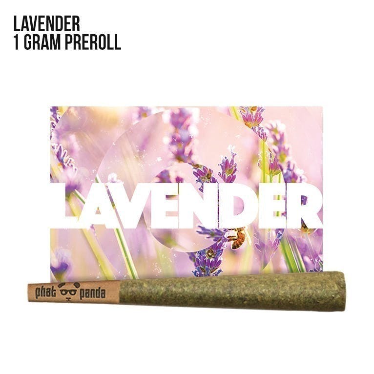 Phat Panda - Phat Panda | Lavender | Joint | 1g - 1