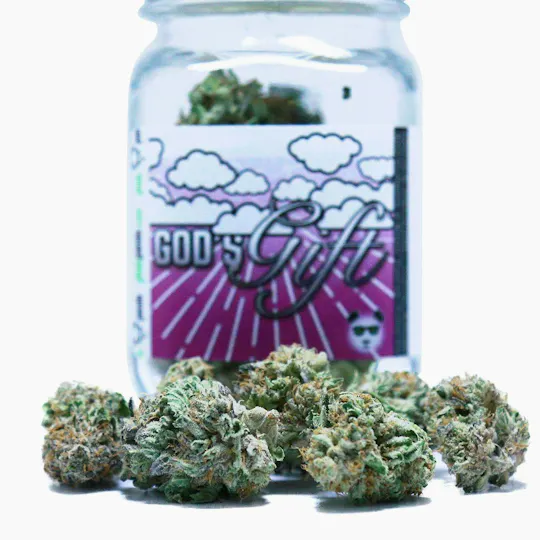 Phat Panda - Phat Panda | God's Gift | Big Buds - 1