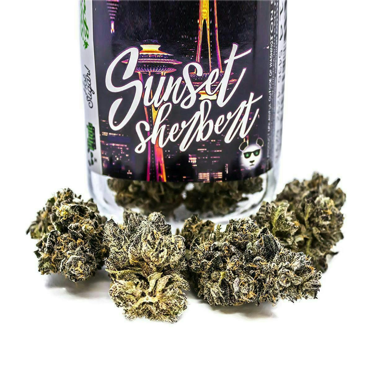 Phat Panda - Phat Panda | Sunset Sherbert | Big Buds - 1