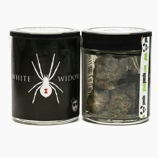 Phat Panda - Phat Panda | White Widow | Big Buds - 1