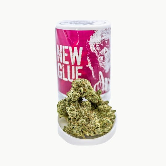 Phat Panda - New Glue (GG5) - WA - 1