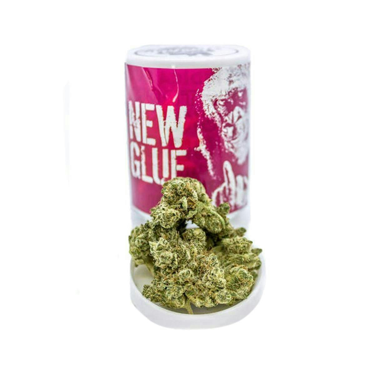 Phat Panda - Phat Panda | New Glue (GG5) | Big Buds - 1