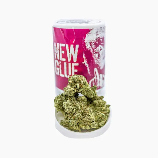 Phat Panda - Phat Panda | New Glue (GG5) | Big Buds - 1