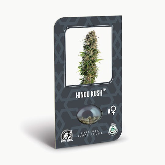 Sensi Seeds - Hindu Kush Automatic - 1