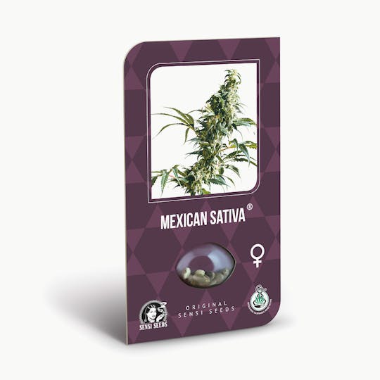 Sensi Seeds - Mexican Sativa Feminized - 1