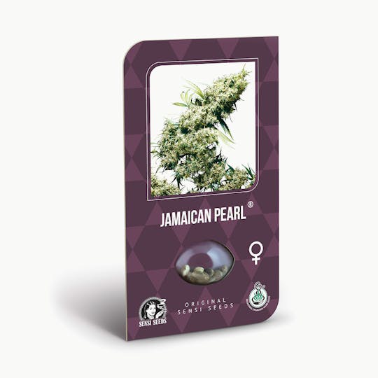 Sensi Seeds - Jamaican Pearl Feminized - 1