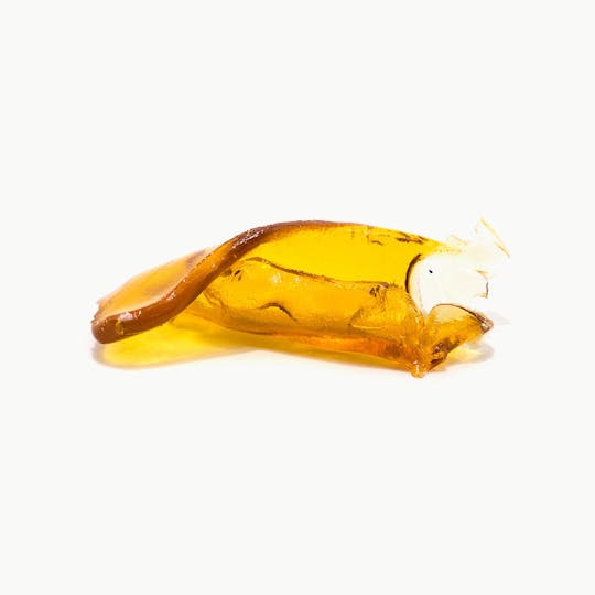 Concentrate Kings - GG Nugrun - 1