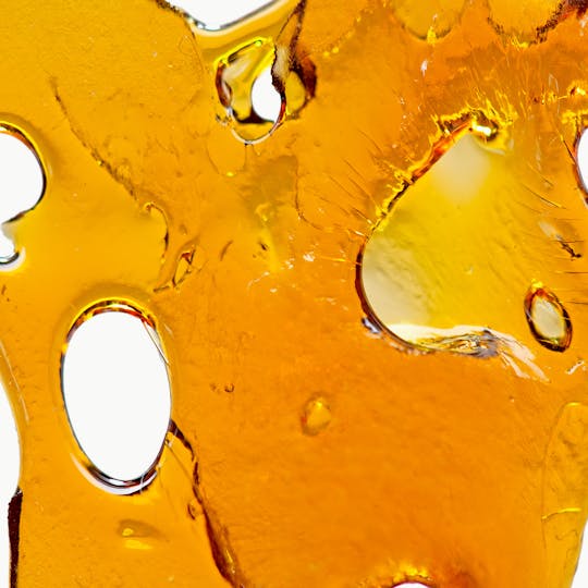 Oregrown - GG#4 x Golden Ticket x Razz - 1