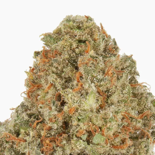 NUG - NUG | Premium Jack | Big Buds | 3.5g - 1