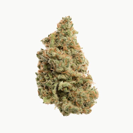 Space Monkey Meds - Space Jack - 1