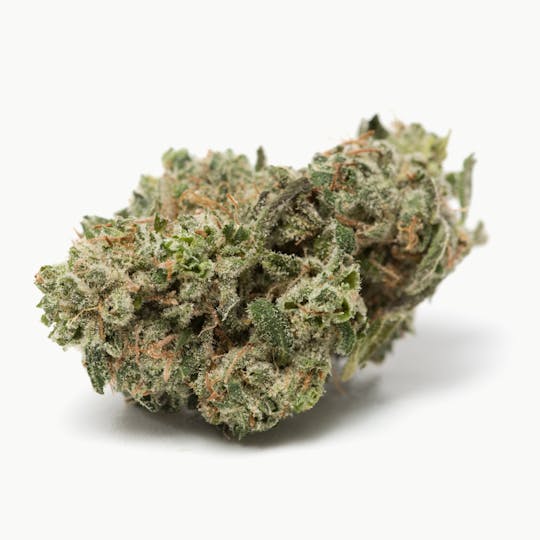 Space Monkey Meds - Blue Fire OG - 1