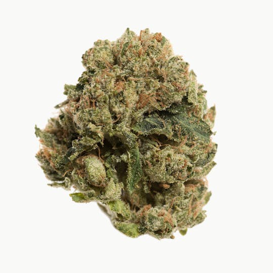 Space Monkey Meds - SFV OG - 1