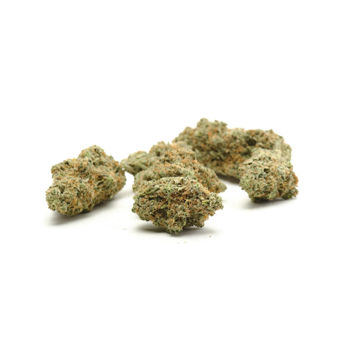 SugarTop Buddery - N*rnia - 1