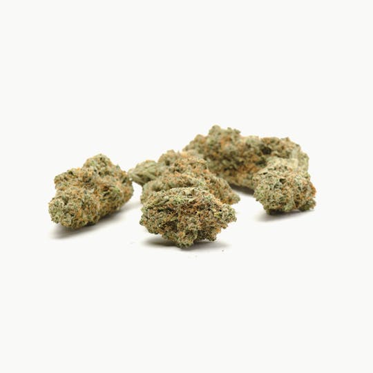 SugarTop Buddery - N*rnia - 1