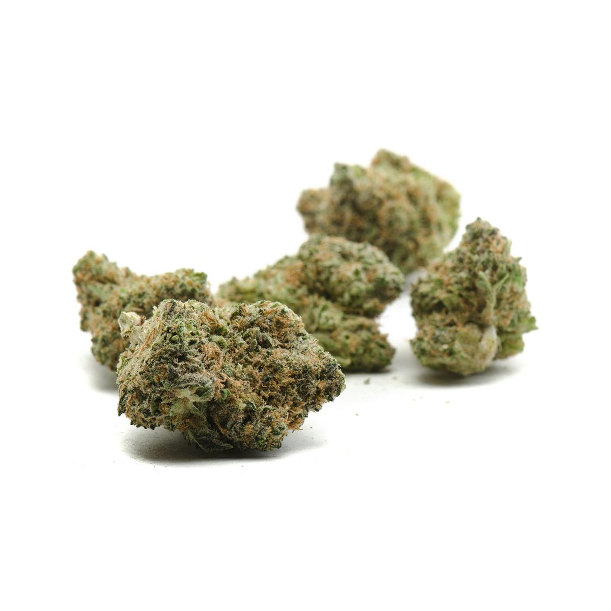 Oregon Genetics - Blue City Diesel - 1