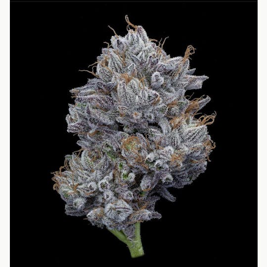 Oregon Roots - Obama Kush - 1