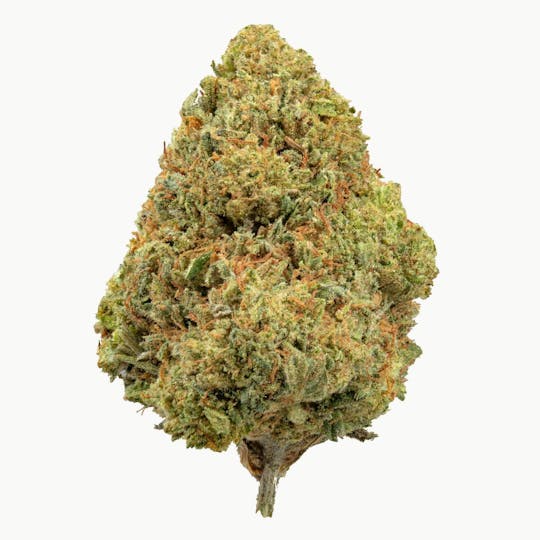Flow Kana - Lemonhead OG by Bald Mountain Legacy | Gold - 1