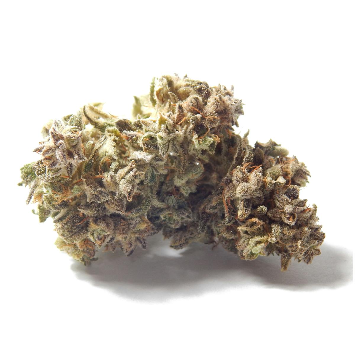 Golden Leaf Productions - Deep Cheese - 1