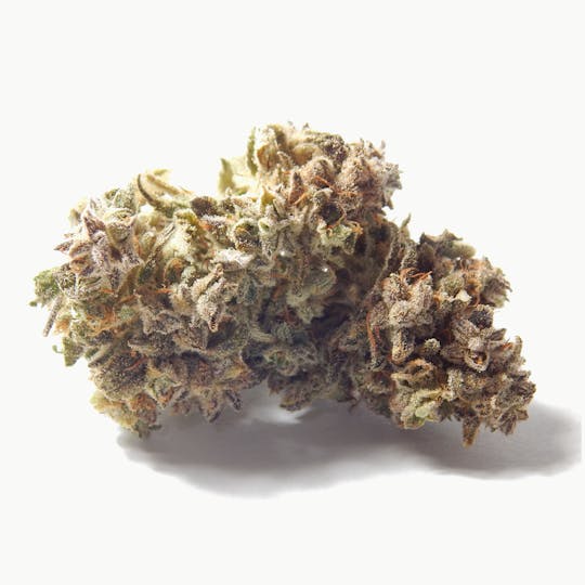 Golden Leaf Productions - Deep Cheese - 1