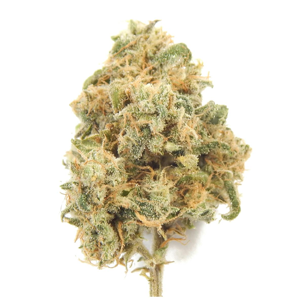 Golden Leaf Productions - Super Skunk - 1