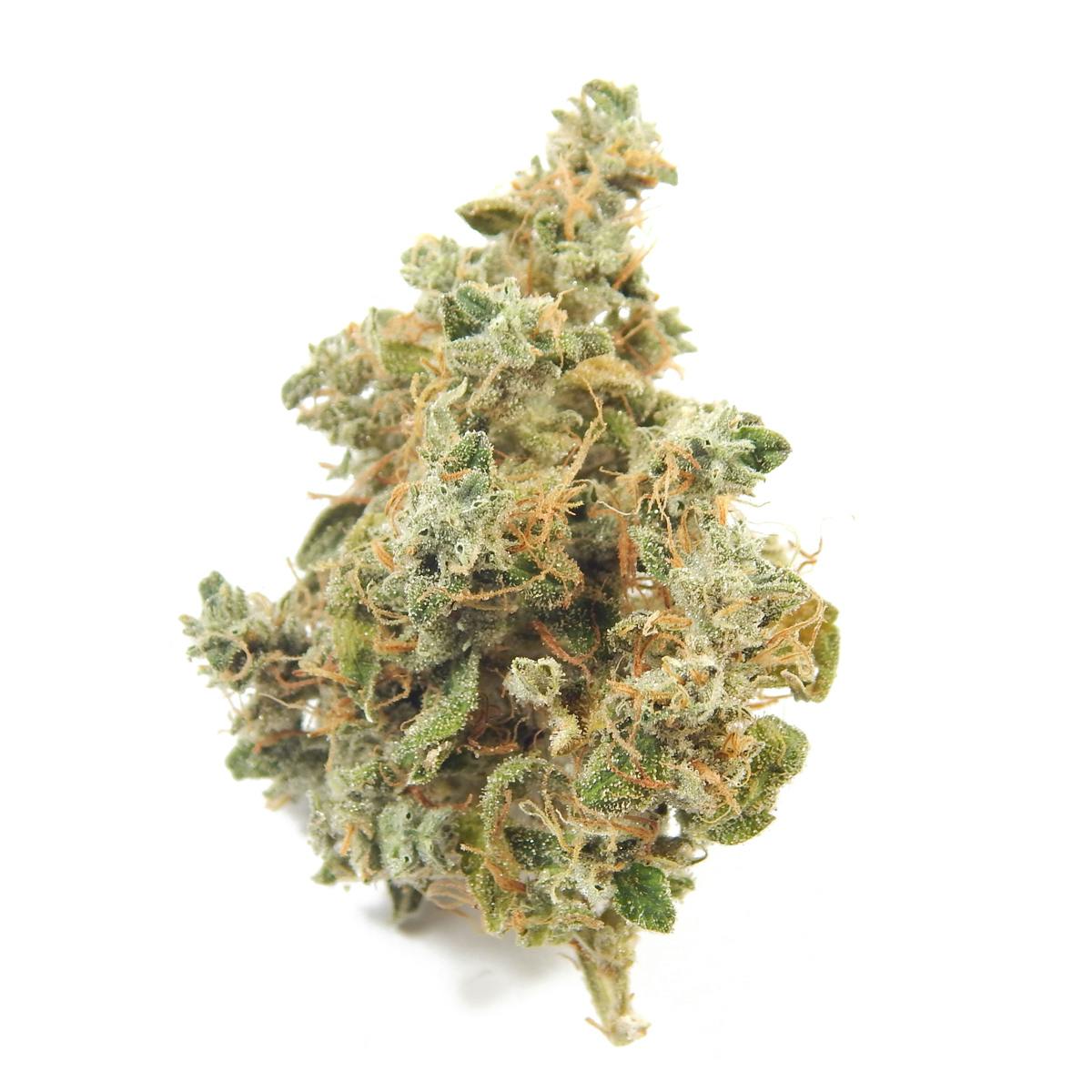 Golden Leaf Productions - Ghost Train Haze - 1