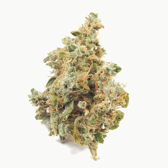 Golden Leaf Productions - Ghost Train Haze - 1