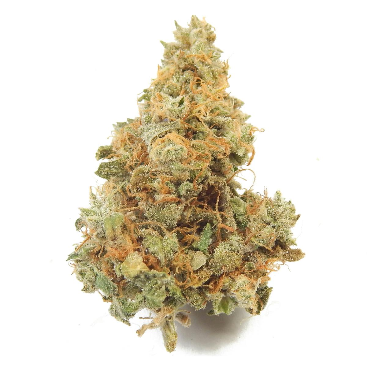 Golden Leaf Productions - Wonder Woman - 1