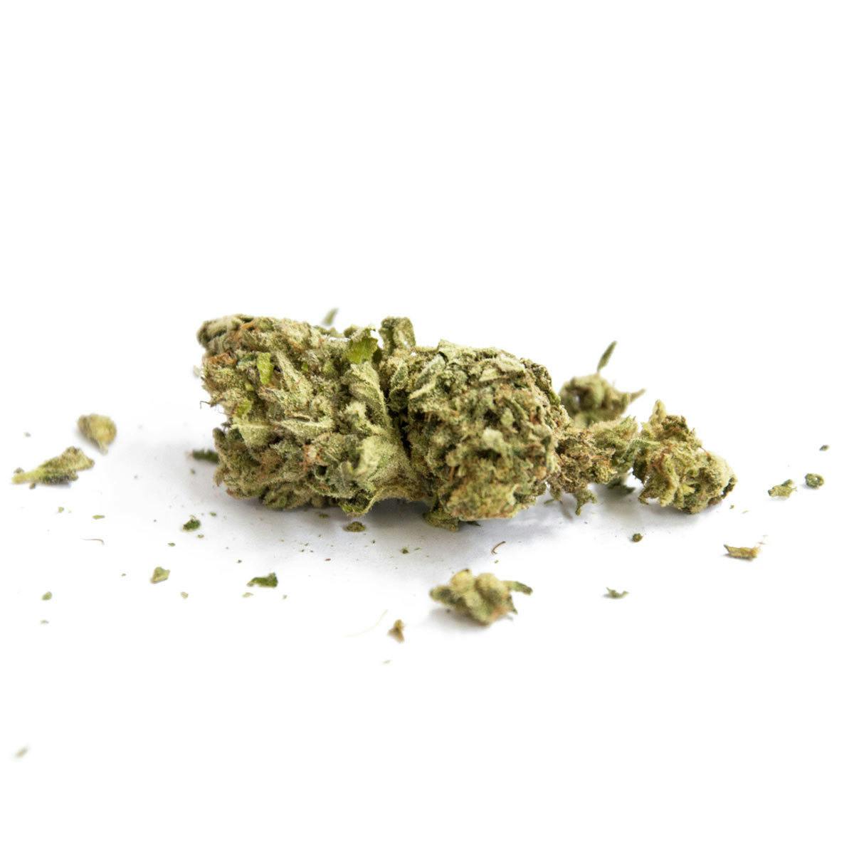 Hempy - Indoor No. 1 - 1