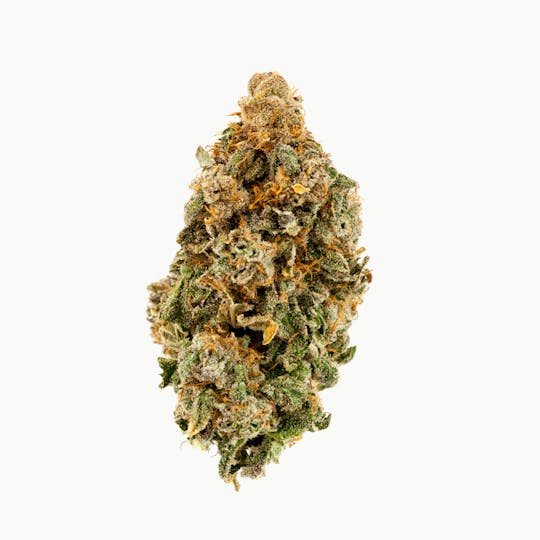Khush Kush - Brandywine - 1