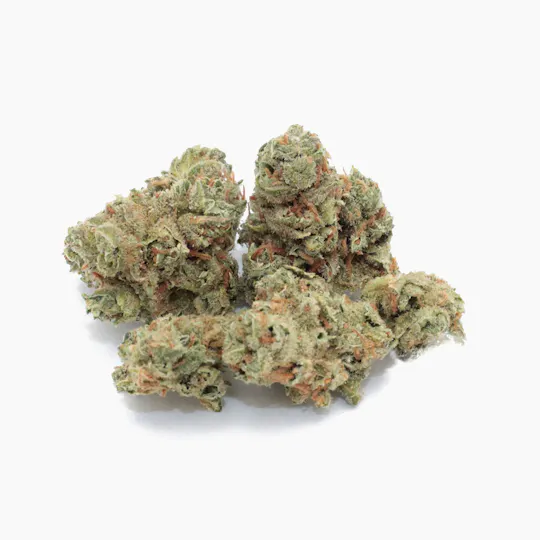 Medusa's Garden - Super Lemon Haze - 1